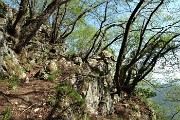 83 Risalendo dallla 'Grotta del Paci Paciana'